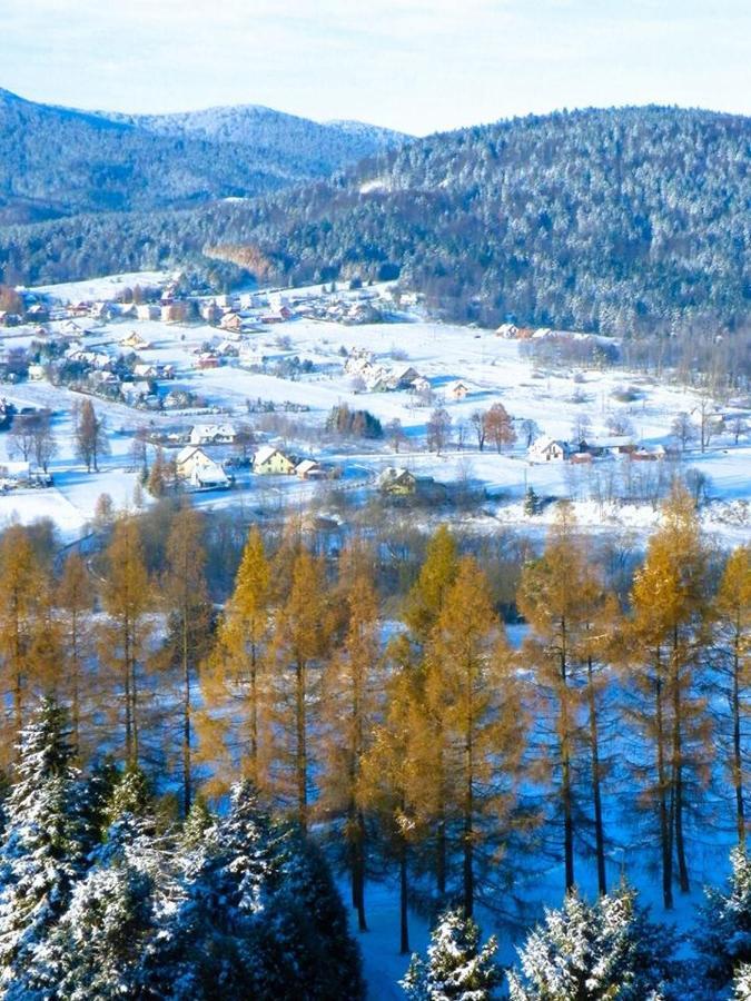 Osrodek Uzdrowiskowy Beskid Hotel Wysowa-Zdroj Bagian luar foto