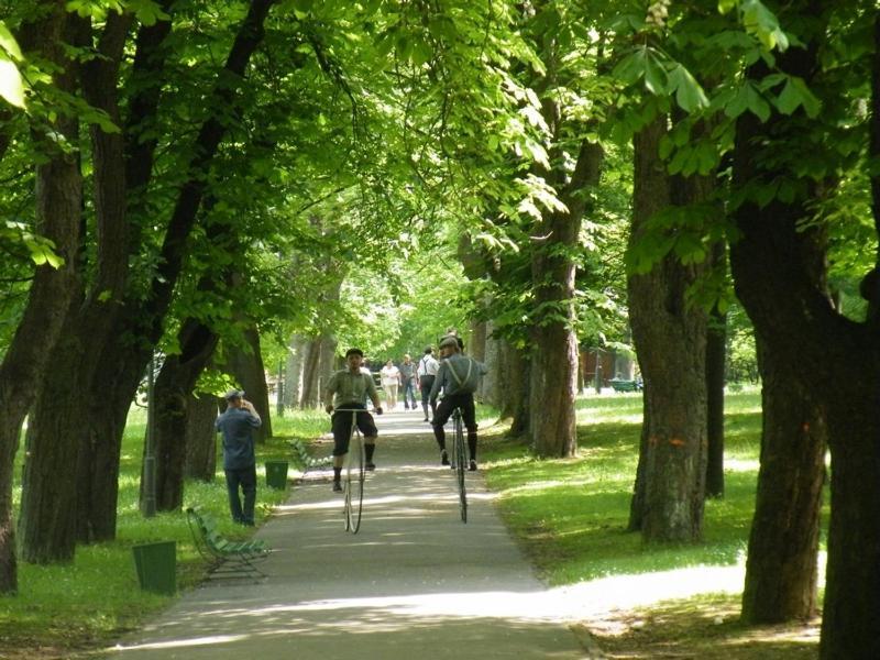 Osrodek Uzdrowiskowy Beskid Hotel Wysowa-Zdroj Bagian luar foto